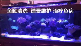 店主头像