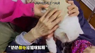是宠物，是家人，是一生的陪伴！#猫咪 #宠物 #宠物 #感人