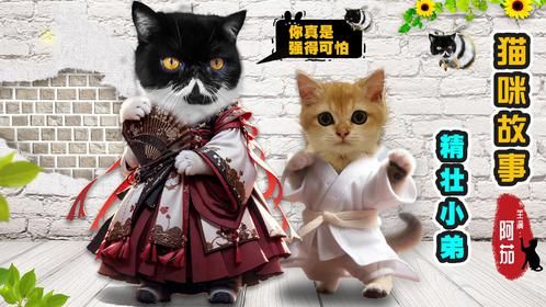 一只强得可怕的猫糕小弟