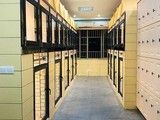 成都宠物寄养在线咨询 狗狗寄养服务在线咨询