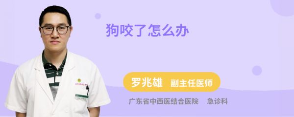 狗咬了怎么办