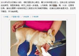 狗主人在网上发布摔狗微博。网络截图
