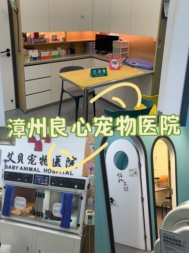 这家医院真的是漳州宠物医院的天花板啦吧～ 