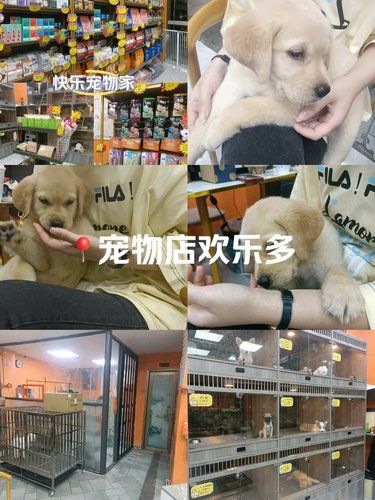 快来快来快来