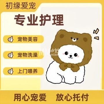 初缘爱宠