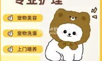 初缘爱宠