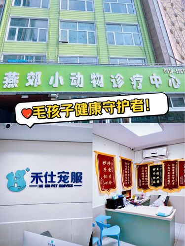 燕郊宝藏宠物医院大揭秘！毛孩子的健康守护者
