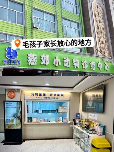  从环境到医术都让毛孩子家长放心的宠物医院！