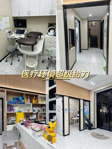 带着毛孩子体检的一天