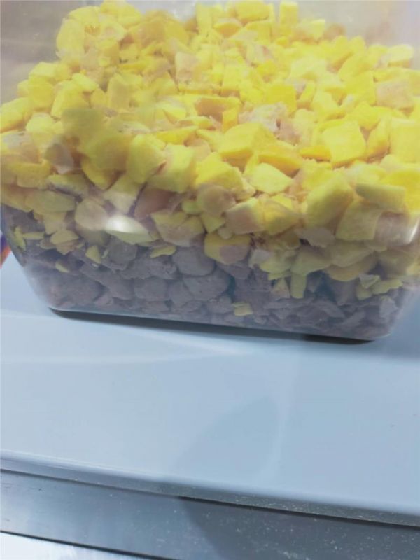 广东宠物零食代加工