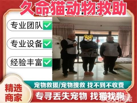 久命猫宠物动物救援·专业寻宠团队寻猫寻狗、寻找宠物、宠物救助、寻找猫猫、寻找狗狗、猫狗寻回