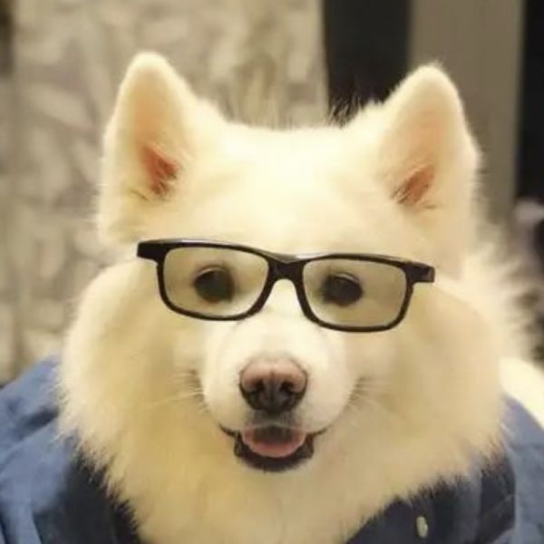 店主头像