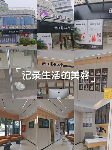 这家宠物医院太专业了，毛孩子们的首选