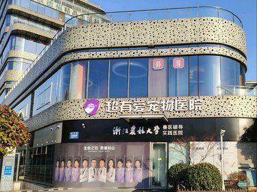 这家宠物医院，超专业