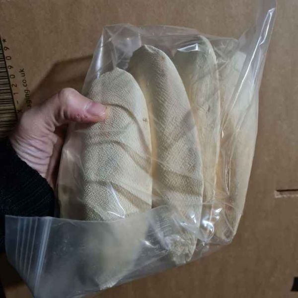 Wholesale Dry Cuttlebone Cuttlefish Bone for Pets Reptile Hermit Crab 100% Natural Cuttlefish Bon/VIETDELTA