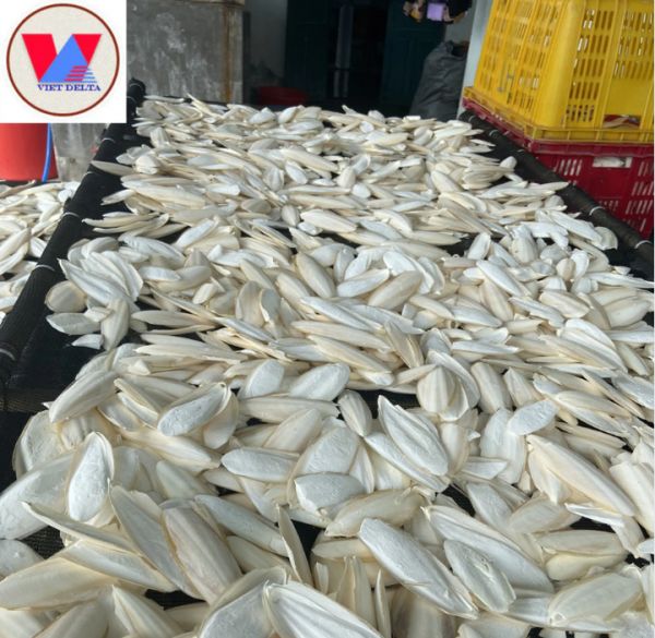 Wholesale Dry Cuttlebone Cuttlefish Bone for Pets Reptile Hermit Crab 100% Natural Cuttlefish Bon/VIETDELTA