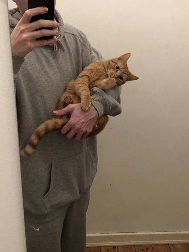 凌晨3点猫尿闭，这家24小时救了大命！