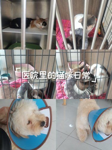带家里宝贝体检