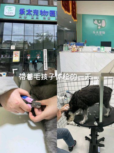 健康先行～护理