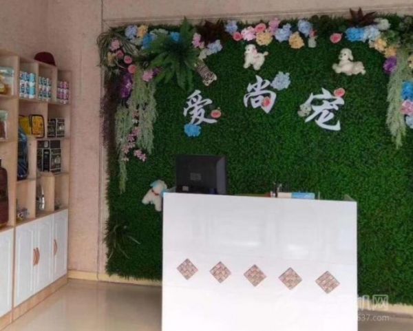 爱尚宠宠物店加盟
