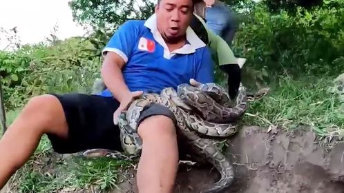 捕蛇小队抓大蛇