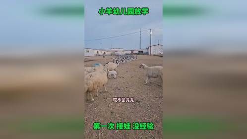 这场景简直太像幼儿园放学的时候了