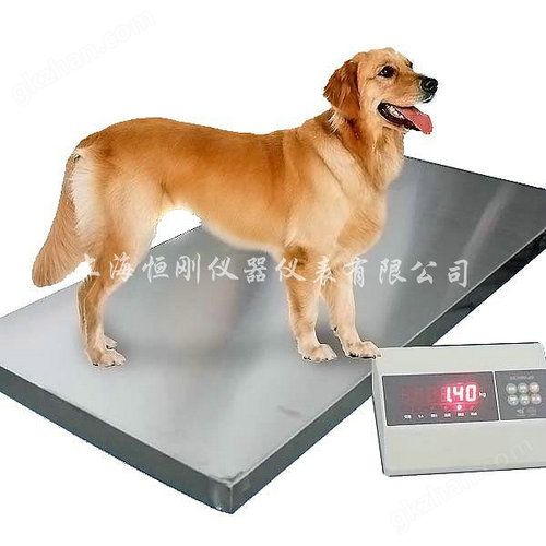 不锈钢宠物电子秤