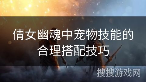 倩女幽魂中宠物技能的合理搭配技巧