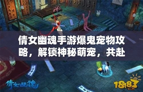 倩女幽魂手游爆鬼宠物攻略，解锁神秘萌宠，共赴三界奇缘