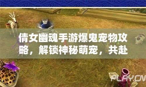 倩女幽魂手游爆鬼宠物攻略，解锁神秘萌宠，共赴三界奇缘