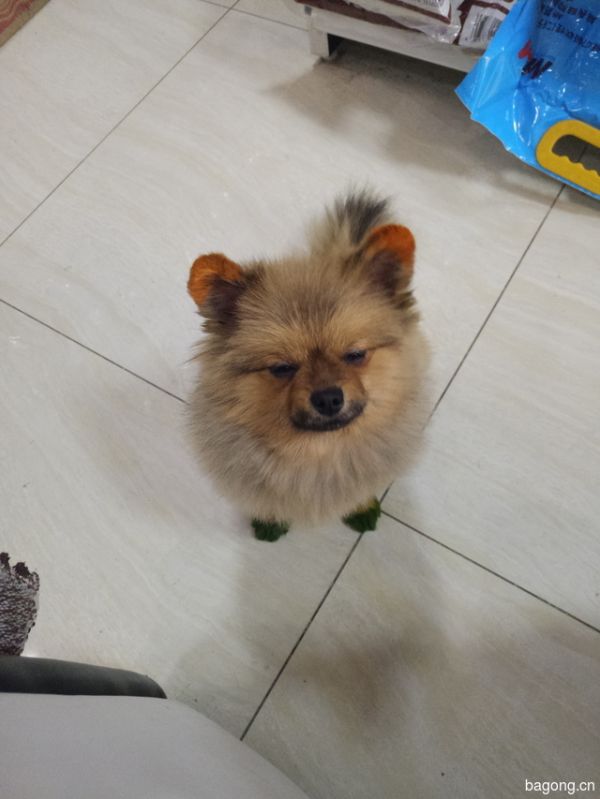 我是nunu，喜欢就点个赞喽