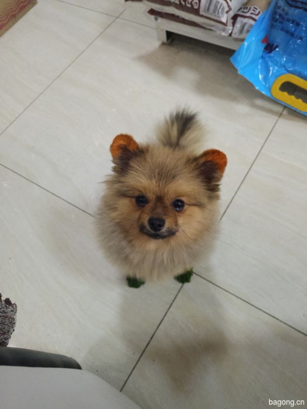 我是nunu，喜欢就点个赞喽