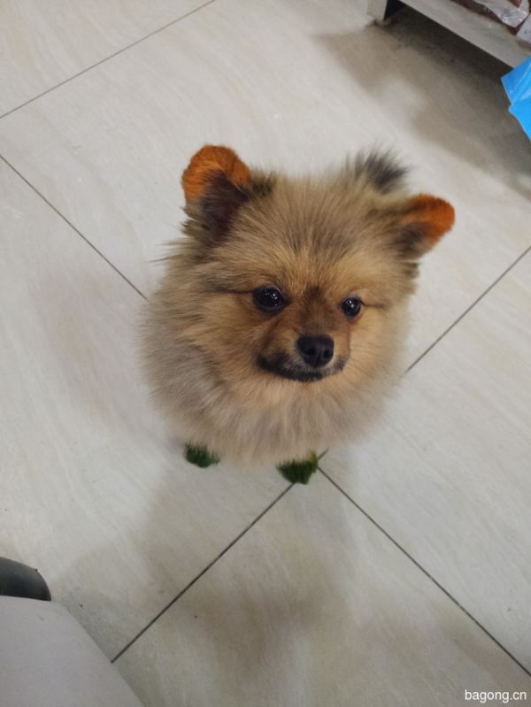 我是nunu，喜欢就点个赞喽