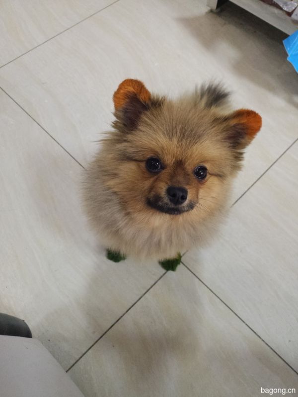 我是nunu，喜欢就点个赞喽