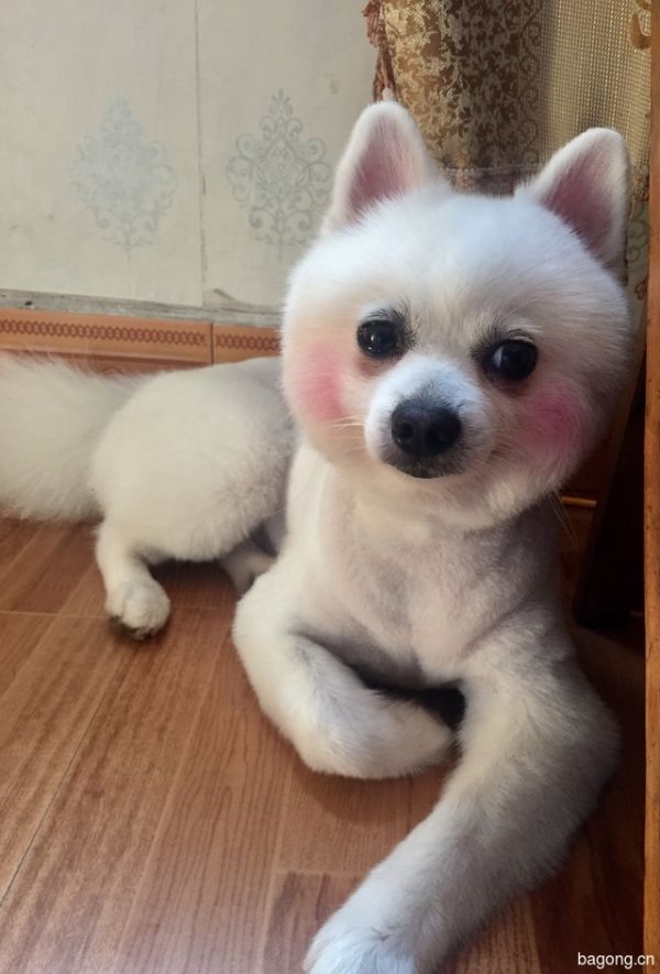 我是宝宝，喜欢就点个赞喽