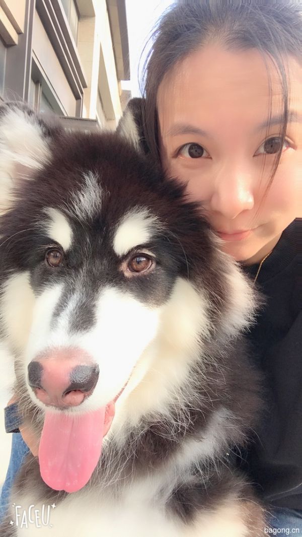 我是Max，喜欢就点个赞喽