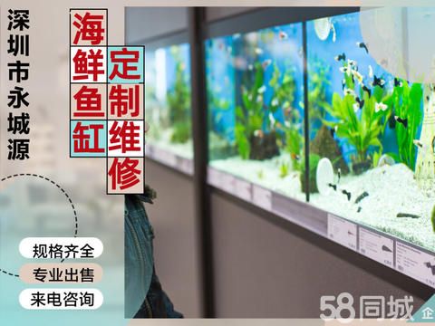 深圳市永城源宠物·定制海鲜鱼缸、大鱼缸 园林水池 定制 海鲜鱼缸 鱼缸维修