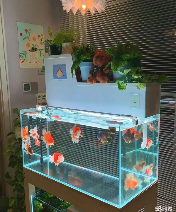 店主头像