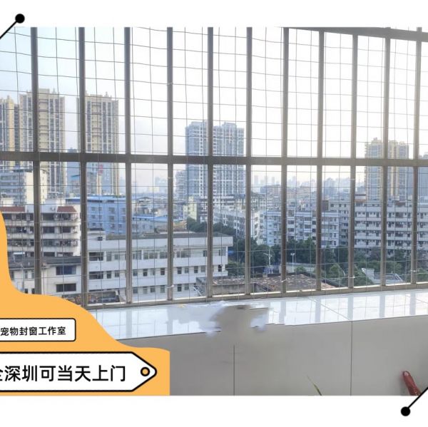 店主头像