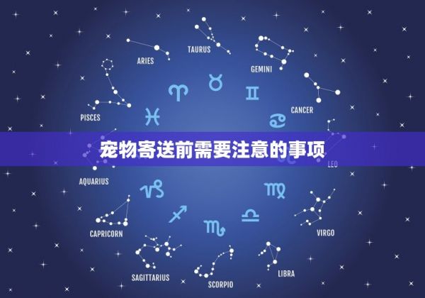 寄小狗用什么物流便宜(推荐几种经济实惠的寄宠物方式)