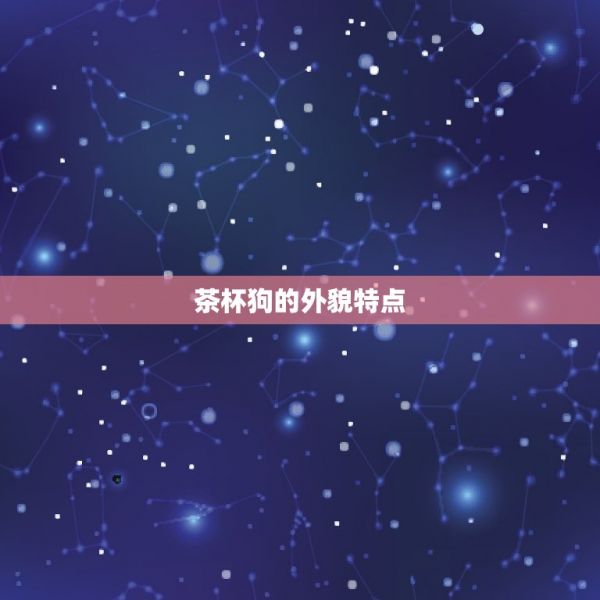 茶杯狗有多大长什么样(了解这种迷你型犬的特点和魅力)