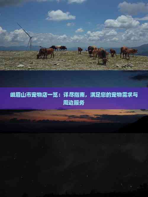 峨眉山市宠物店一览：详尽指南，满足您的宠物需求与周边服务