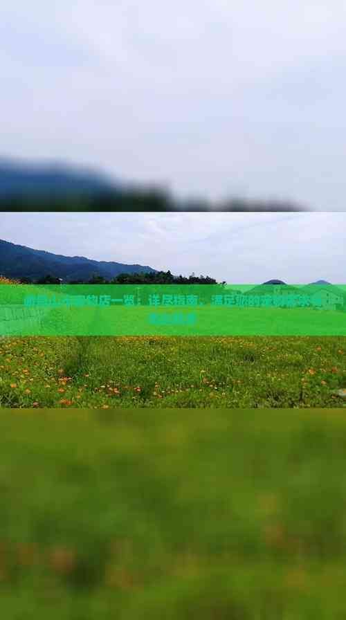 峨眉山市宠物店一览：详尽指南，满足您的宠物需求与周边服务