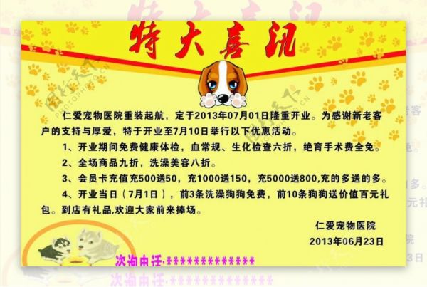 宠物医院活动宣传单图片