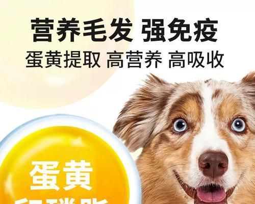 狗什么时候吃卵磷脂（宠物健康从饮食开始）