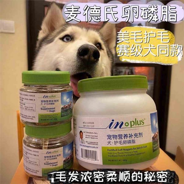狗卵磷脂的功效与作用(狗狗卵磷脂一天吃几粒)