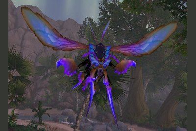 魔兽世界wlk蜂在哪抓