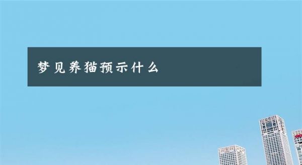 梦见养猫预示什么文章配图