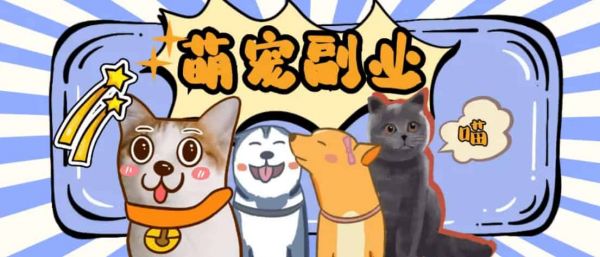 宠物市场副业项目玩法，倒腾新奇宠物年入10W经验分享
