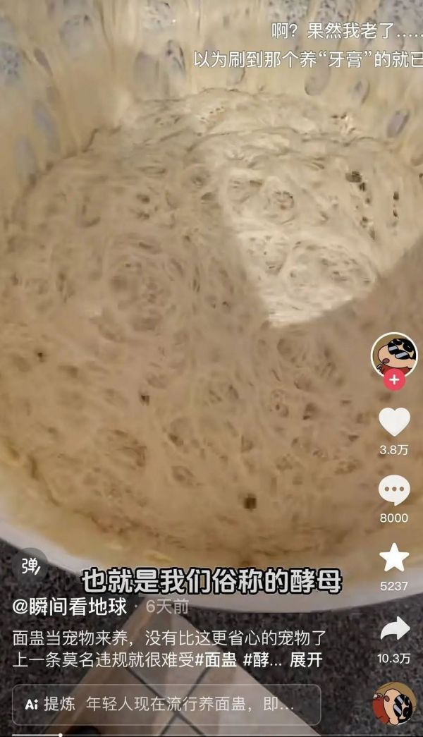 奇奇怪怪的宠物又增加了！这届年轻人的新宠，你可能听都没听过